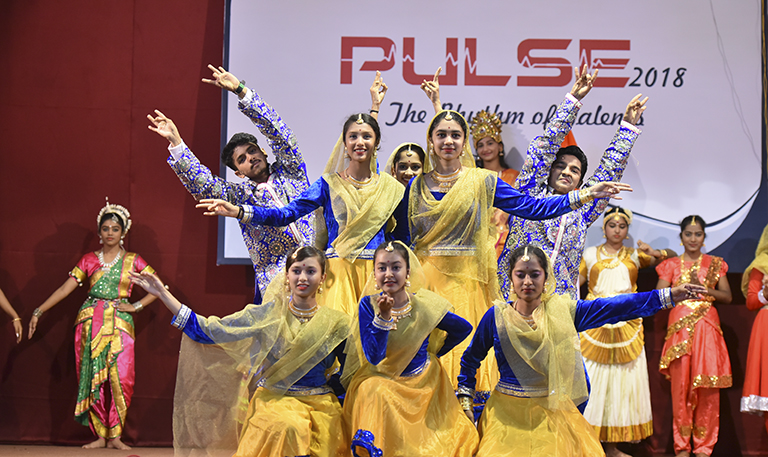 Pulse 2018 - 2019